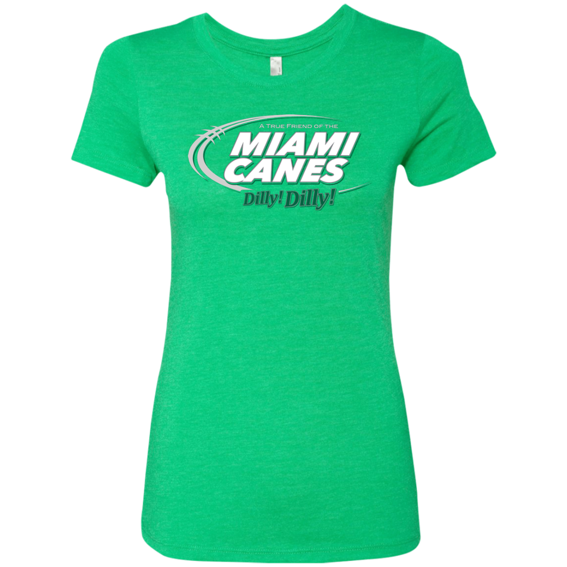 Miami Dilly Dilly Women's Triblend T-Shirt