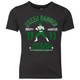 Dragon Ranger (1) Youth Triblend T-Shirt