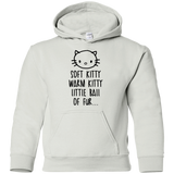 Weird Kitty Youth Hoodie