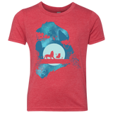 Lion Portrait Youth Triblend T-Shirt