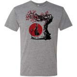 Keyblade Wielder Men's Triblend T-Shirt