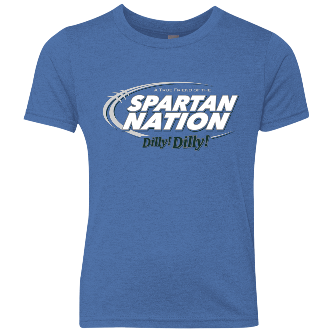 Michigan State Dilly Dilly Youth Triblend T-Shirt