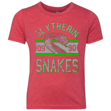 Snakes Youth Triblend T-Shirt