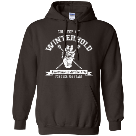 Mens_Hoodie Sweatshirts Dark Chocolate / Small College of Winterhold Pullover Hoodie
