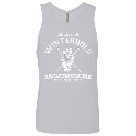 Mens_Premium Tank Top Heather Grey / Small College of Winterhold Men's Premium Tank Top