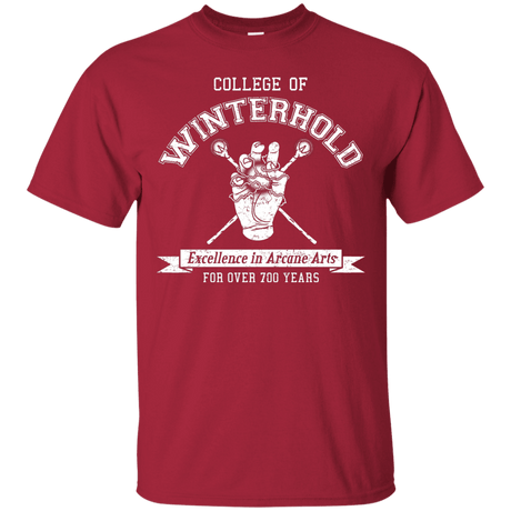 Mens_T-Shirts Cardinal / Small College of Winterhold T-Shirt
