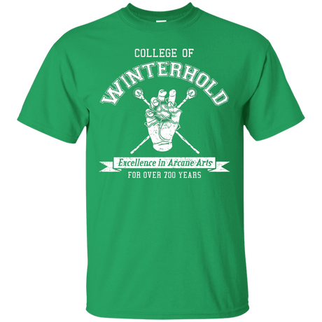 Mens_T-Shirts Irish Green / Small College of Winterhold T-Shirt