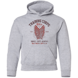 Sweatshirts Sport Grey / YS 104th Training Corps Youth Hoodie