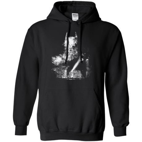 Sweatshirts Black / Small A Light In The Night Pullover Hoodie