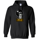 Sweatshirts Black / Small A Powerful Ally Pullover Hoodie