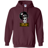 Sweatshirts Maroon / Small A Powerful Ally Pullover Hoodie