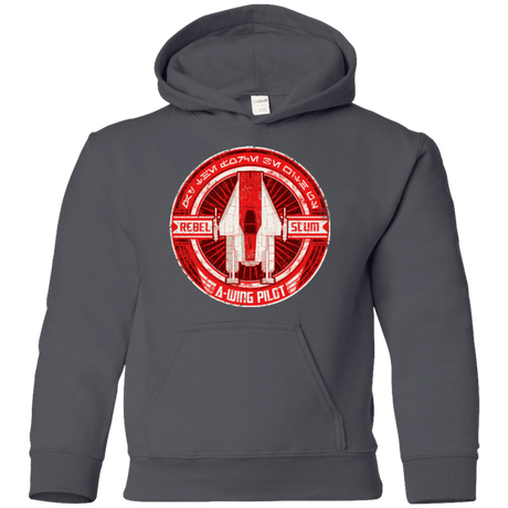 Sweatshirts Charcoal / YS A-Wing Youth Hoodie