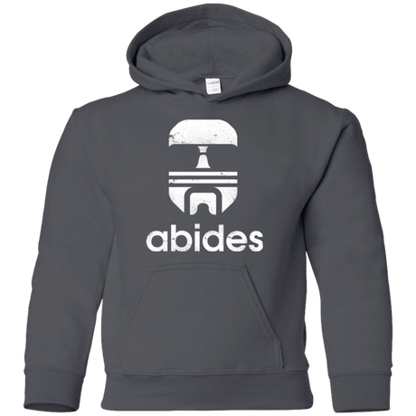 Sweatshirts Charcoal / YS Abides Youth Hoodie