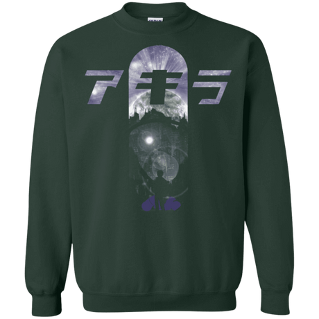 Sweatshirts Forest Green / Small About to Explode Crewneck Sweatshirt