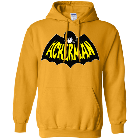 Sweatshirts Gold / Small Ackerman Pullover Hoodie