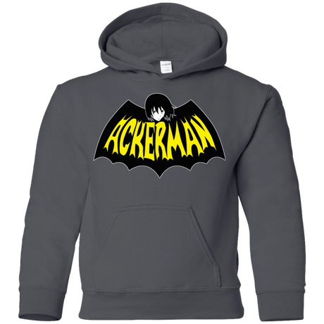 Sweatshirts Charcoal / YS Ackerman Youth Hoodie