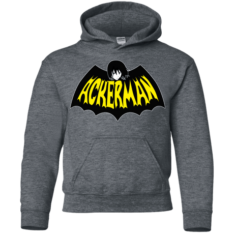 Sweatshirts Dark Heather / YS Ackerman Youth Hoodie