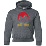 Sweatshirts Dark Heather / YS Adventures of Femshep & Vakarian Youth Hoodie