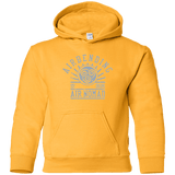 Sweatshirts Gold / YS air bending v2 Youth Hoodie