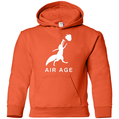 Sweatshirts Orange / YS Air Nut Youth Hoodie