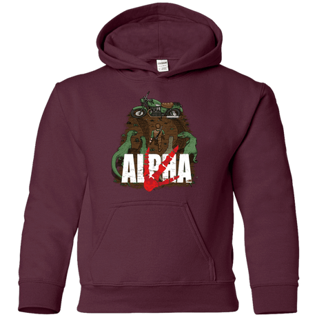 Sweatshirts Maroon / YS Akira Park Youth Hoodie