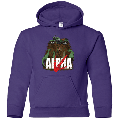 Sweatshirts Purple / YS Akira Park Youth Hoodie