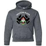 Sweatshirts Dark Heather / YS Akutomi Plaza Youth Hoodie