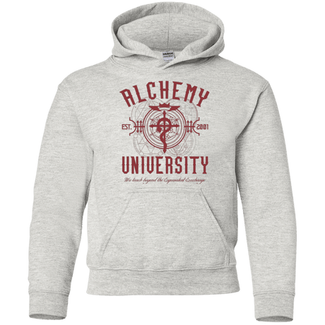 Sweatshirts Ash / YS Alchemy University Youth Hoodie