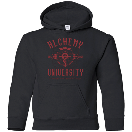 Sweatshirts Black / YS Alchemy University Youth Hoodie