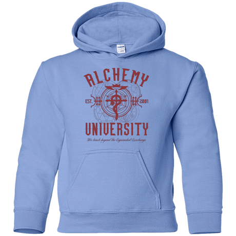 Sweatshirts Carolina Blue / YS Alchemy University Youth Hoodie