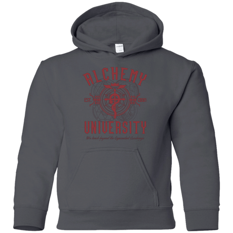 Sweatshirts Charcoal / YS Alchemy University Youth Hoodie