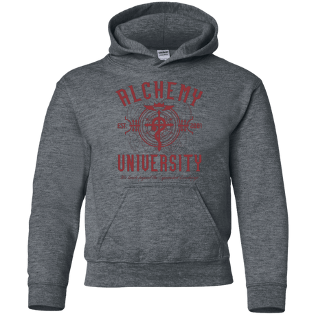 Sweatshirts Dark Heather / YS Alchemy University Youth Hoodie