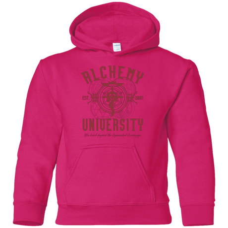 Sweatshirts Heliconia / YS Alchemy University Youth Hoodie