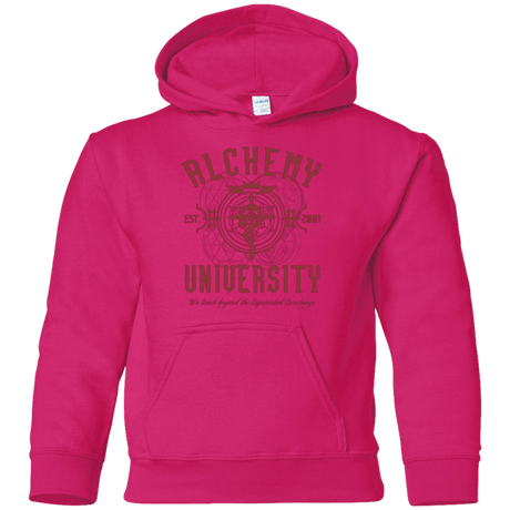 Sweatshirts Heliconia / YS Alchemy University Youth Hoodie