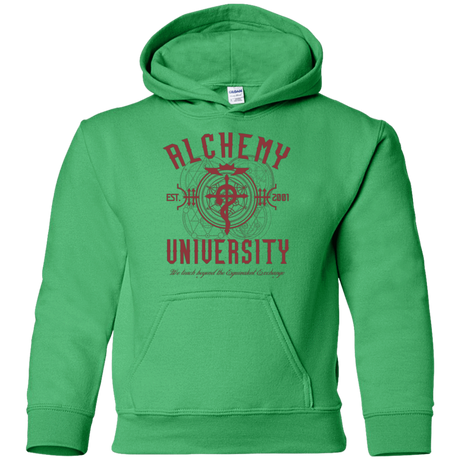 Sweatshirts Irish Green / YS Alchemy University Youth Hoodie