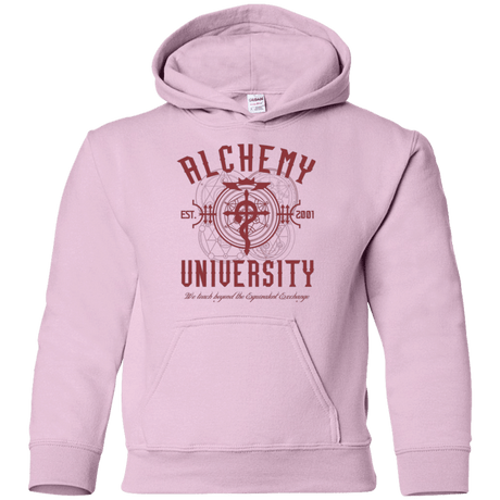 Sweatshirts Light Pink / YS Alchemy University Youth Hoodie