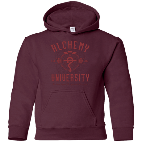 Sweatshirts Maroon / YS Alchemy University Youth Hoodie