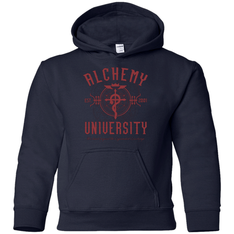 Sweatshirts Navy / YS Alchemy University Youth Hoodie