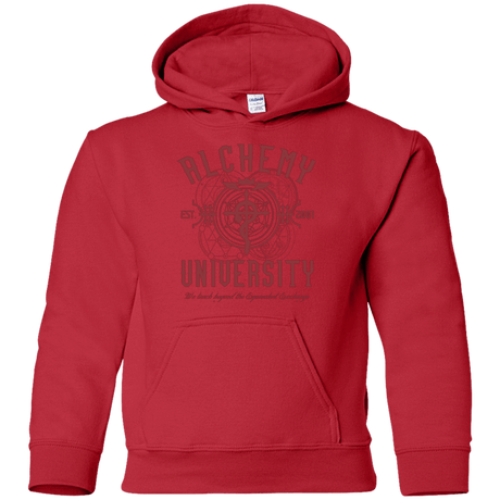 Sweatshirts Red / YS Alchemy University Youth Hoodie