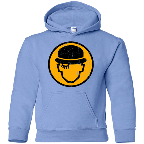 Sweatshirts Carolina Blue / YS Alex Sign Youth Hoodie