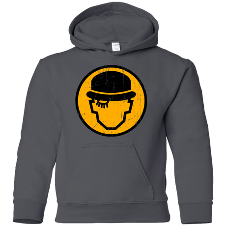 Sweatshirts Charcoal / YS Alex Sign Youth Hoodie