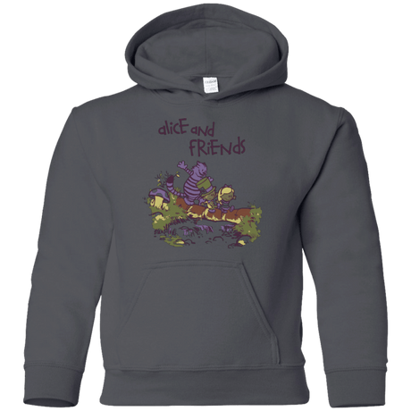 Sweatshirts Charcoal / YS Alice and Friends Youth Hoodie