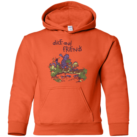 Sweatshirts Orange / YS Alice and Friends Youth Hoodie