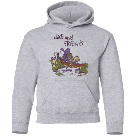 Sweatshirts Sport Grey / YS Alice and Friends Youth Hoodie