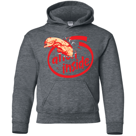 Sweatshirts Dark Heather / YS Alien Inside Youth Hoodie