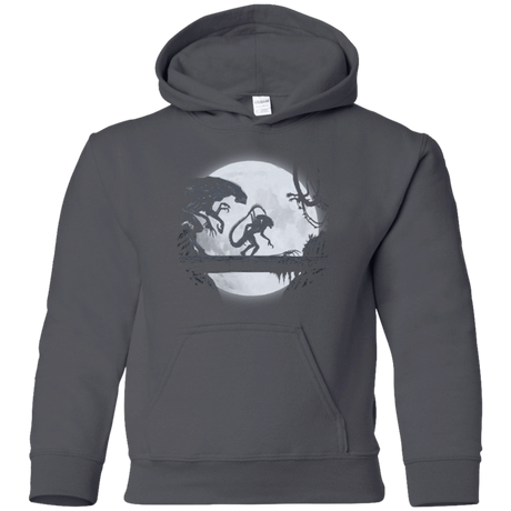 Sweatshirts Charcoal / YS Alien Matata Youth Hoodie