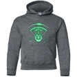 Sweatshirts Dark Heather / YS Alien Tracking Youth Hoodie