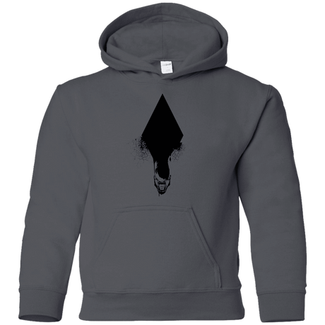 Sweatshirts Charcoal / YS Alien Youth Hoodie