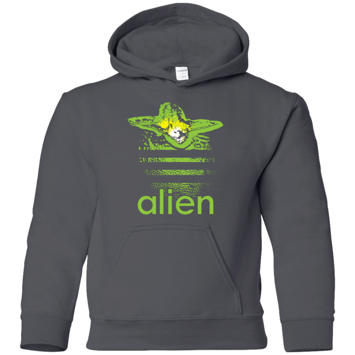 Sweatshirts Charcoal / YS Alien Youth Hoodie