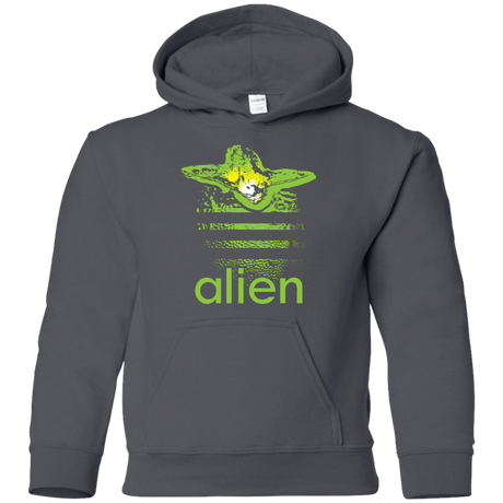 Sweatshirts Charcoal / YS Alien Youth Hoodie